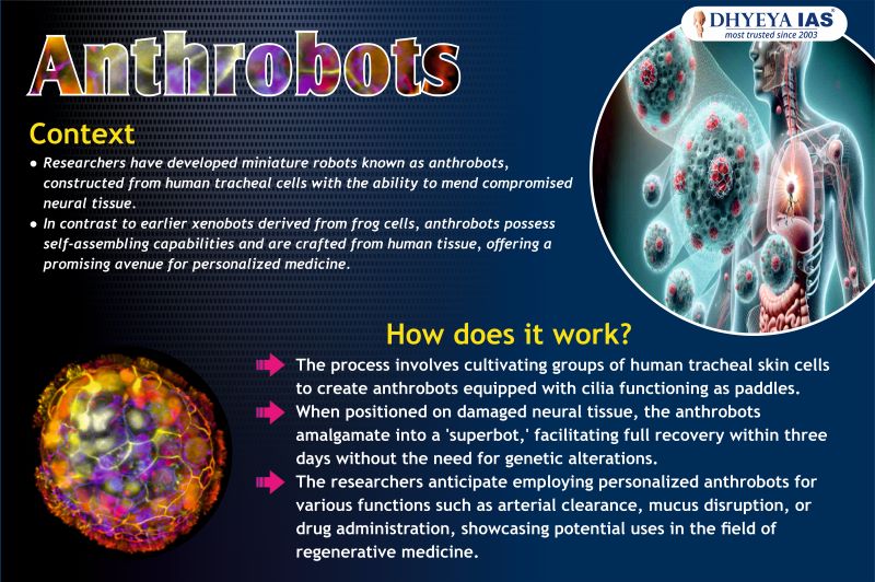 Info-pedia : Anthrobots