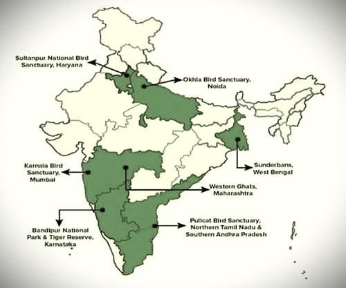 What Are Eco-Sensitive Zones?